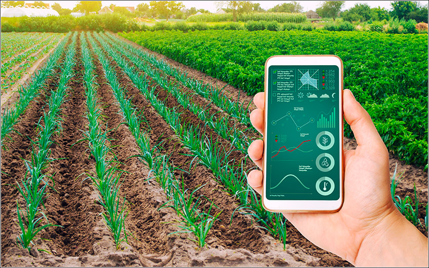 Agronegócio Brasileiro