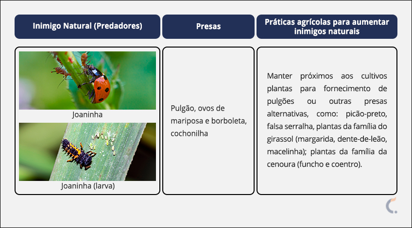 Inimigo Natural do Pulgão