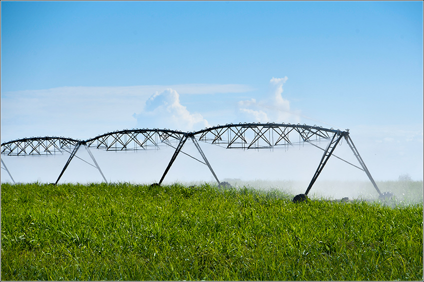 Irrigação na Cana-de-Açúcar