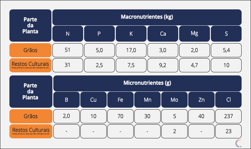 Extração de Nutrientes na Soja
