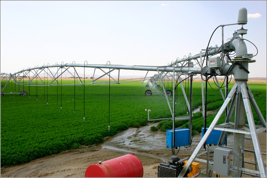 Sensor para Irrigação no Campo