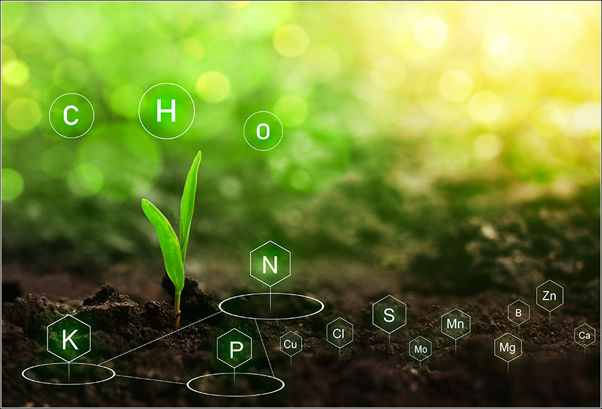 Amostragem de Solo na Cana-de-Açúcar