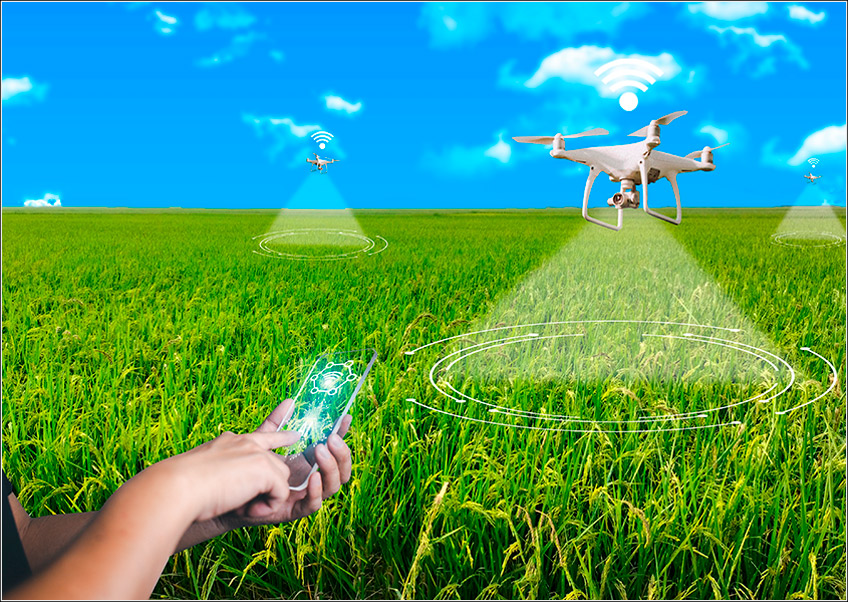 Manejo Integrado de Pragas (MIP) e Gestão Agrícola Eficiente