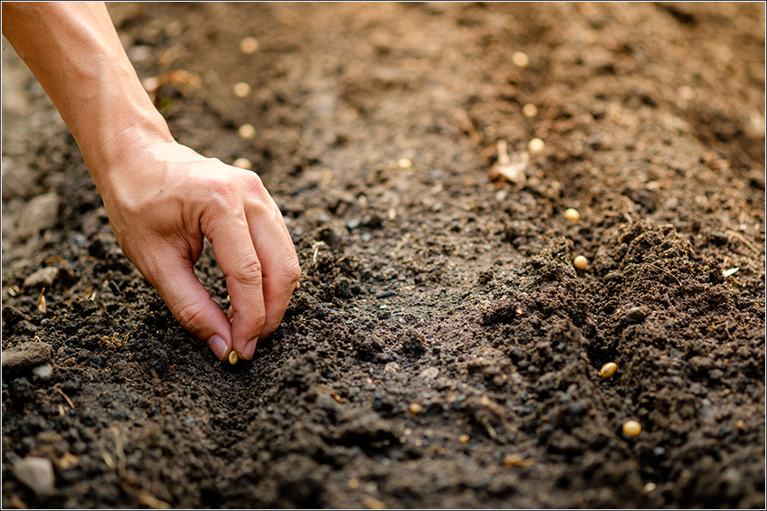 Preparo do Solo para Soja