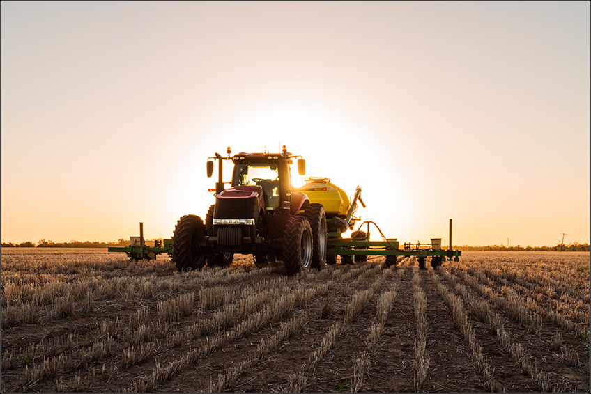 Máquinas na Plantação de Sorgo Máquinas na Plantação de Sorgo