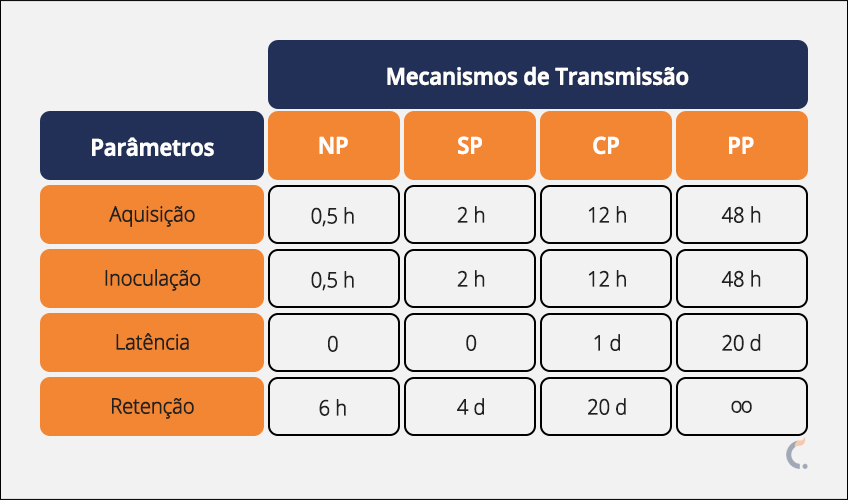 Mecanismos de Transmissão do Pulgão