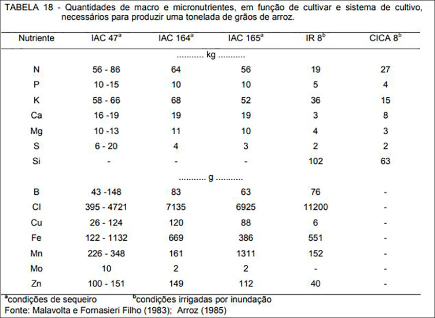 Macronutrientes e Micronutrientes para Arroz