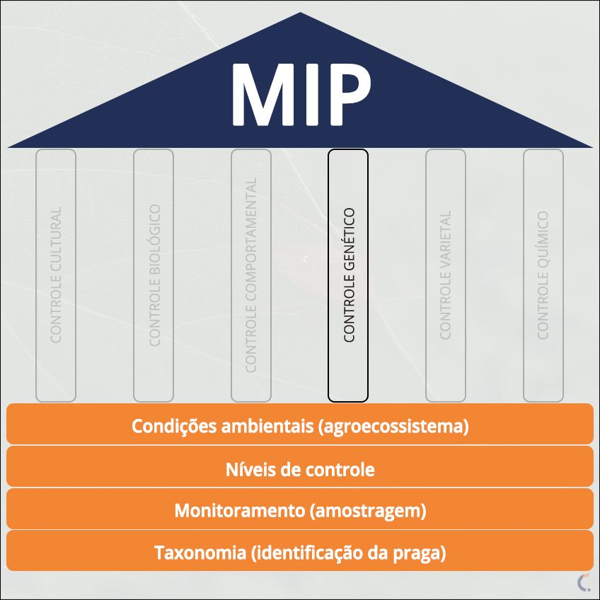 MIP Controle Genético