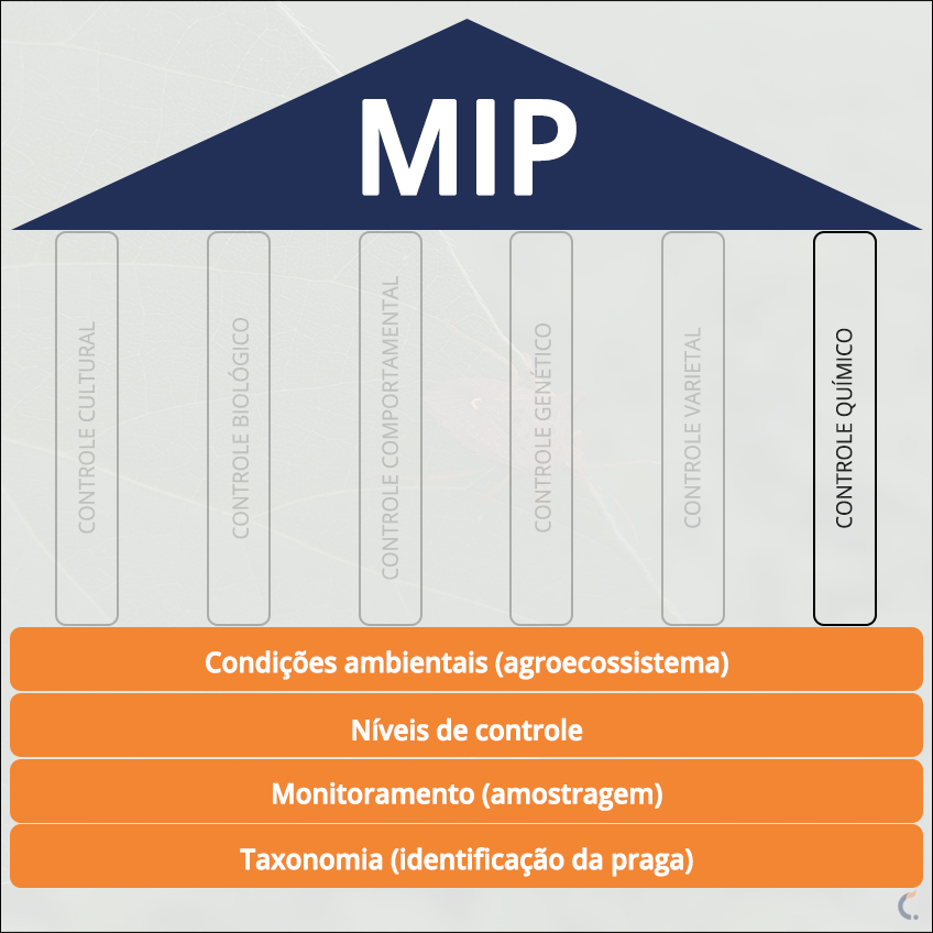 MIP Controle Químico