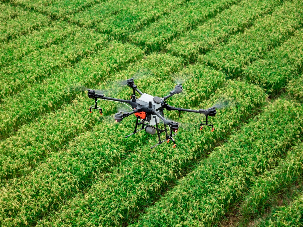 Drone na Fazenda
