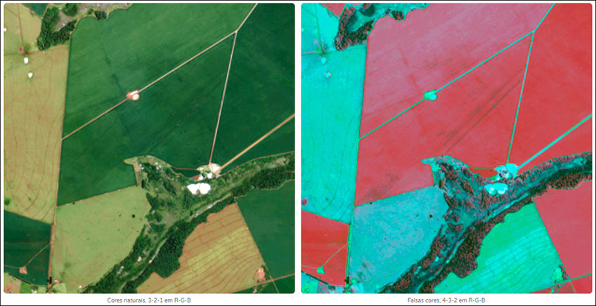 Mapas NDVI Mapas NDVI