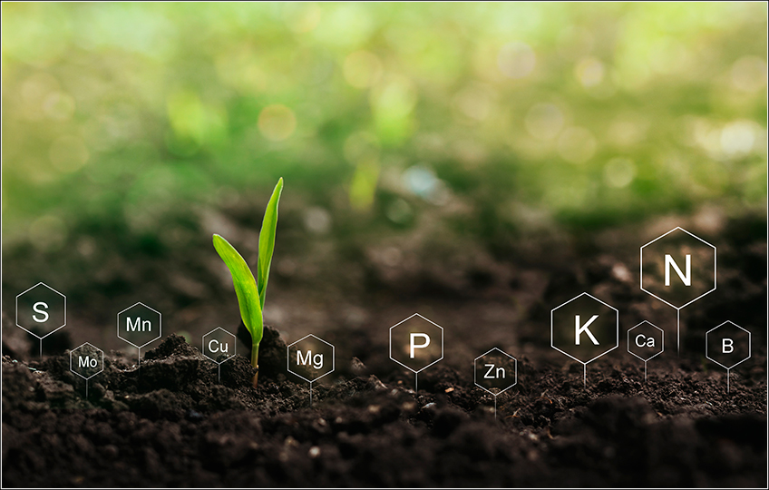Nutrientes do Solo