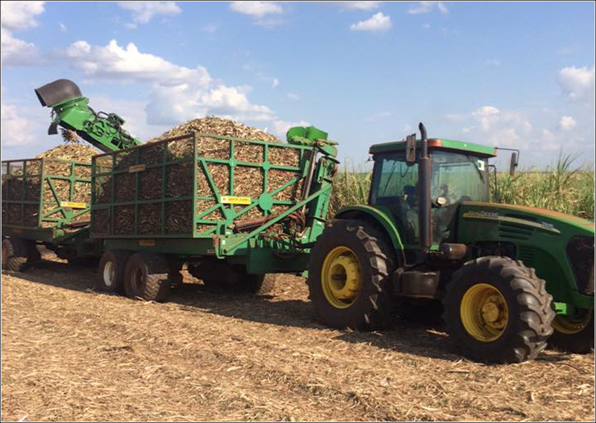 Agrícola MV e CHBAGRO