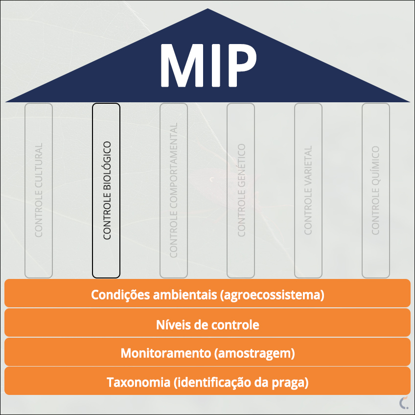 MIP Controle Biológico