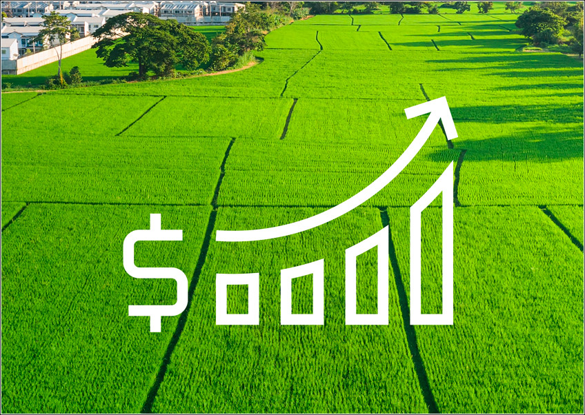 Plano Safra 2021/2022