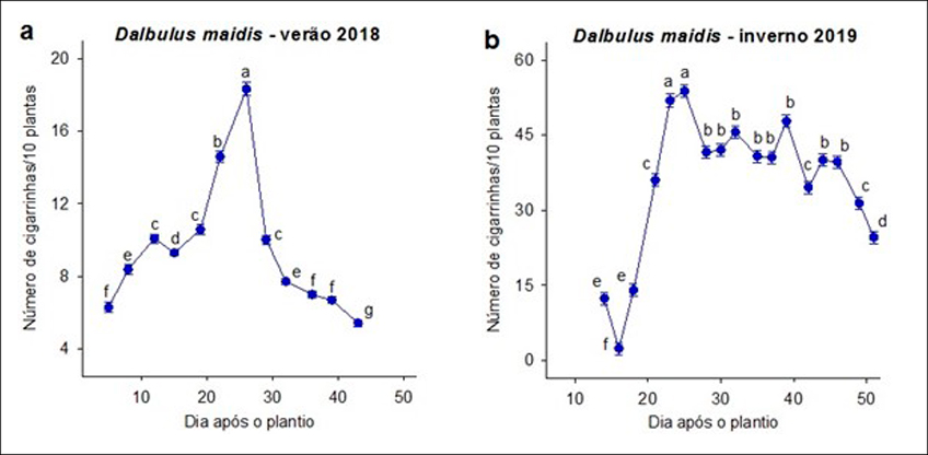 Dinâmica Populacional da Cigarrinha do Milho
