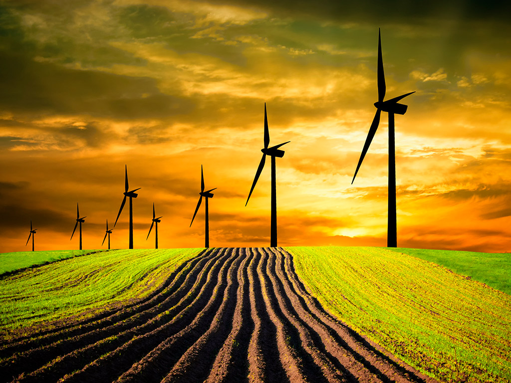 Práticas Sustentáveis na Agricultura