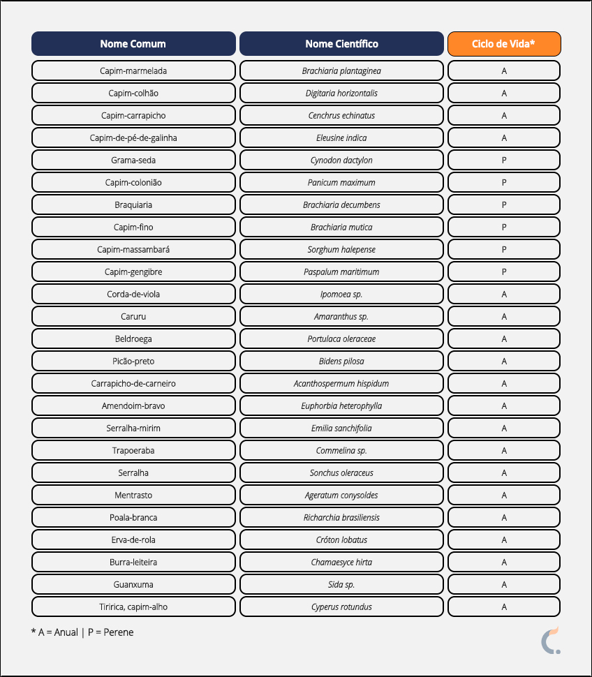 Plantas Daninhas da Cana
