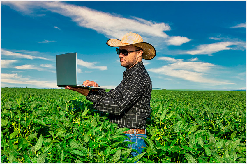 Produtividade da Soja