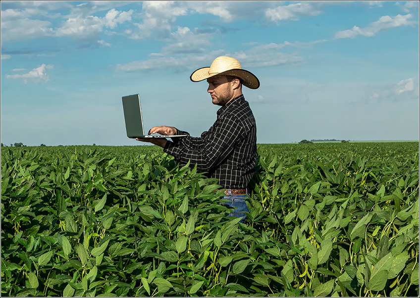 Produtor Rural Vendo Plano de Contas Produtor Rural Vendo Plano de Contas
