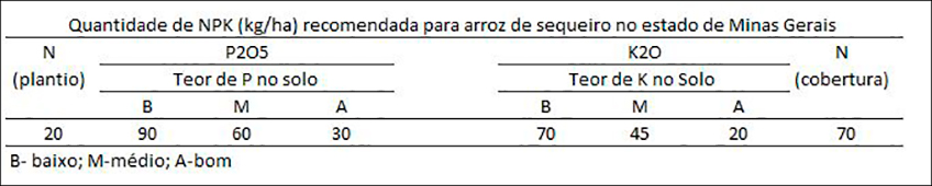 Quantidade de NPK para o Arroz