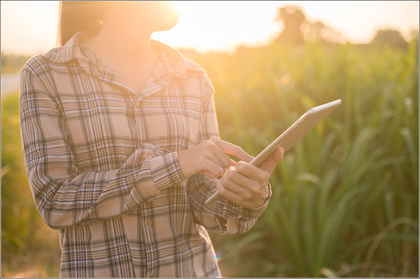 Software Agrícola para Cana-de-Açúcar Software Agrícola para Cana-de-Açúcar
