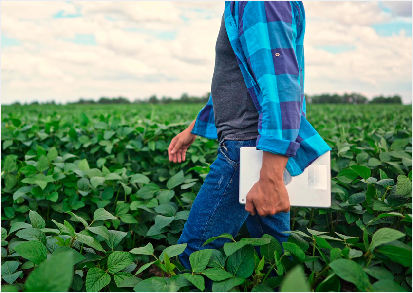 Gestão Agrícola de Lavoura de Soja Gestão Agrícola de Lavoura de Soja